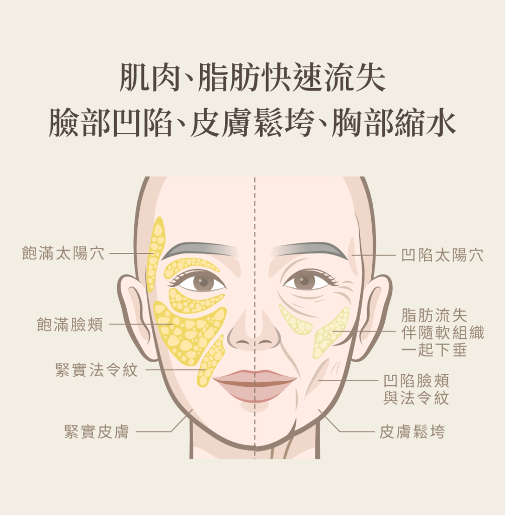 猛健樂肌肉、脂肪快速流失