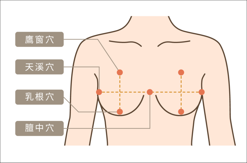 猛健樂美胸調理